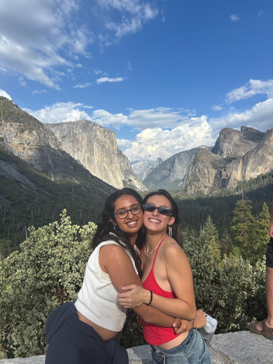 Friends at the overlook